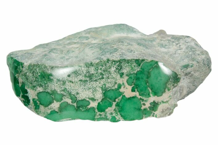 Polished Forest Green Lucin Variscite ( g) - Utah #354652